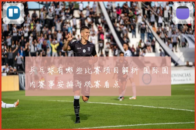 乒乓球有哪些比赛项目解析 国际国内赛事安排与观赛看点